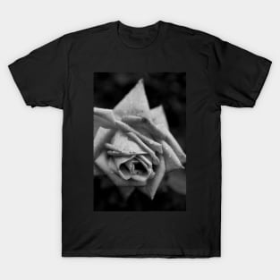 Monochrome Flower T-Shirt